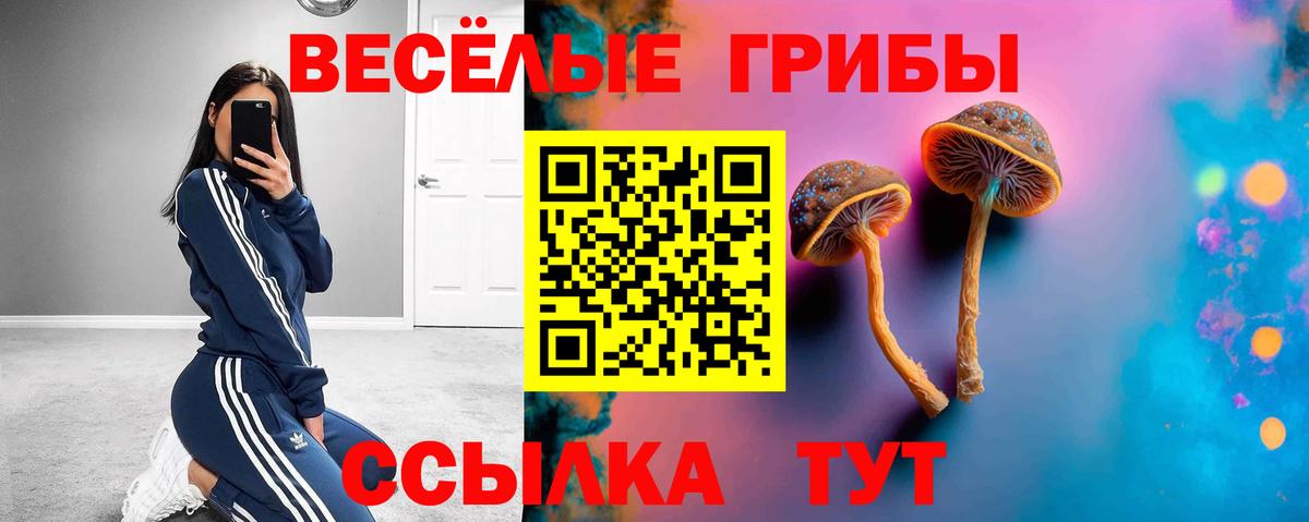 Псилоцибиновые грибы Psilocybine cubensis  Вход с VPN  Галлюциногенные грибы ЛСД  Брянск 